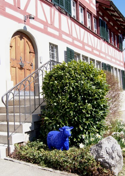 Das Blauschaf zu Gast im Wohnheim Turbenthal
